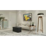 Casa si Gradina - Mobilier - Scaune si fotolii - Tabureti - Taburet pliabil cu sezut moale, spatiu de depozitare 80litri, maxim 300kg, 76x38x38cm, negru - Infinity.ro