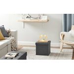Casa si Gradina - Mobilier - Scaune si fotolii - Tabureti - Taburet cu sezut moale, spatiu de depozitare, maxim 300kg, 38x38x38cm, gri inchis - Infinity.ro