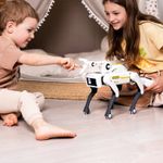 Jucarii, Copii si Bebe - Jucarii si jocuri - Vehicule si jucarii cu telecomanda - Roboti de jucarie - Robot Caine Inteligent iUni 8008 cu Cleste de Prindere, Control Telecomanda, Comenzi Vocale, Programabil - Infinity.ro