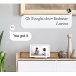 Casa si Gradina - Electrice - Smart Home - Camere de supraveghere - Camera de supraveghere Reolink P320 cu AI, detectare Persoana/Vehicul, rezolutie 5MP, notificare pe telefon - Infinity.ro