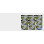 Casa si Gradina - Electrice - Smart Home - Camere de supraveghere - Camera de supraveghere Reolink P434 cu AI, detectare Persoana/Vehicul, zoom optic 3x, rezolutie de 8MP (4K) - Infinity.ro