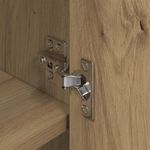 Casa si Gradina - Mobilier - Dulapuri si sifoniere - Dulapuri - Dulap pentru pantofi cu usa Stejar artizanal 79 x 36 x 100 cm - Infinity.ro