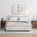 Casa si Gradina - Mobilier - Comode si corpuri - Noptiere - Noptiera 2 pcs Lemn Vechi 39,5 x 30 x 50 cm Lemn compozit - Infinity.ro