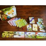 Jucarii, Copii si Bebe - Jucarii si jocuri - Jocuri si puzzle - Jocuri de societate - Joc de societate The Butterfly Garden (Second Edition) - Infinity.ro