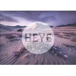 Jucarii, Copii si Bebe - Jucarii si jocuri - Jocuri si puzzle - Puzzle - Puzzle 1000 piese Arrow Dynamic Heye 29945 - Infinity.ro