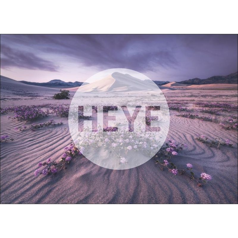 Jucarii, Copii si Bebe - Jucarii si jocuri - Jocuri si puzzle - Puzzle - Puzzle 1000 piese Arrow Dynamic Heye 29945 - Infinity.ro