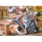 Jucarii, Copii si Bebe - Jucarii si jocuri - Jocuri si puzzle - Puzzle - Puzzle 1000 piese Sit a Spell 30585 Cherry Pazzi - Infinity.ro