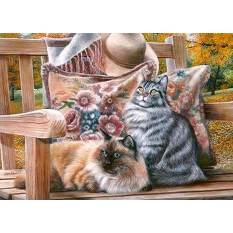 Jucarii, Copii si Bebe - Jucarii si jocuri - Jocuri si puzzle - Puzzle - Puzzle 1000 piese Sit a Spell 30585 Cherry Pazzi - Infinity.ro