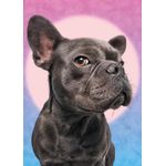 Jucarii, Copii si Bebe - Jucarii si jocuri - Jocuri si puzzle - Puzzle - Puzzle 1000 piese Im Watching You 30097 Cherry Pazzi - Infinity.ro