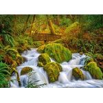 Jucarii, Copii si Bebe - Jucarii si jocuri - Jocuri si puzzle - Puzzle - Puzzle 1000 piese Silky Smooth 30615 Cherry Pazzi - Infinity.ro