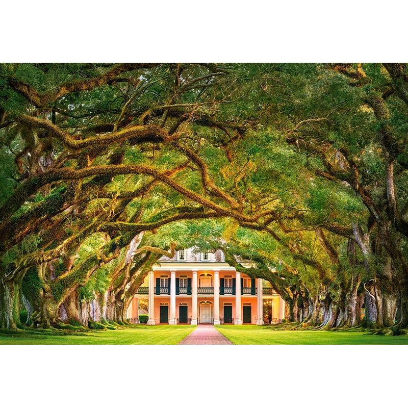 Jucarii, Copii si Bebe - Jucarii si jocuri - Jocuri si puzzle - Puzzle - Puzzle 1000 piese Oak Alley Plantation 104383 - Infinity.ro