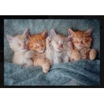 Jucarii, Copii si Bebe - Jucarii si jocuri - Jocuri si puzzle - Puzzle - Puzzle 1000 piese The Sweetest Kittens 105144 - Infinity.ro