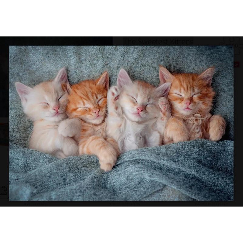 Jucarii, Copii si Bebe - Jucarii si jocuri - Jocuri si puzzle - Puzzle - Puzzle 1000 piese The Sweetest Kittens 105144 - Infinity.ro