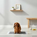 Petshop - Ingrijire si Igiena - Asternuturi si substraturi - Asternuturi igienice - Patura de antrenament pentru animale de companie Simplu 100 pcs - Infinity.ro