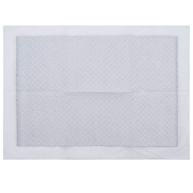 Petshop - Ingrijire si Igiena - Asternuturi si substraturi - Asternuturi igienice - Patura de antrenament pentru animale de companie Simplu 100 pcs - Infinity.ro