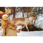 Carti si Birotica - Carti - Carti pentru copii - Basme si povesti - Scrisori de Craciun de la Felix, Annette Langen - Infinity.ro