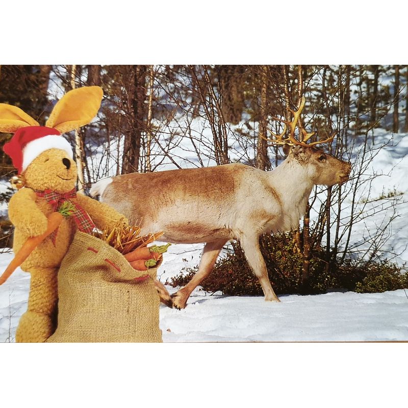 Carti si Birotica - Carti - Carti pentru copii - Basme si povesti - Scrisori de Craciun de la Felix, Annette Langen - Infinity.ro