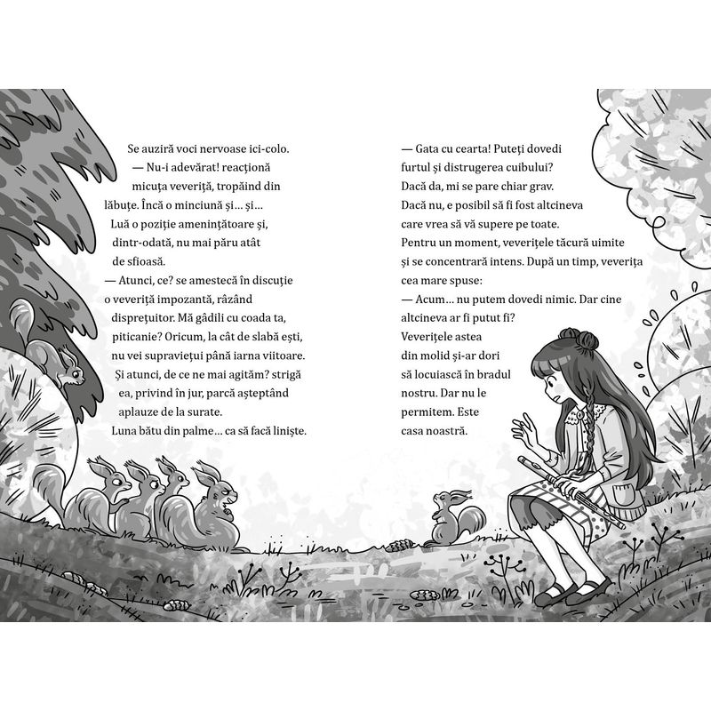 Carti si Birotica - Carti - Carti pentru copii - Basme si povesti - Luna si padurea magica, vol 3. Ratonii in cautarea unei case, Usch Luhn - Infinity.ro