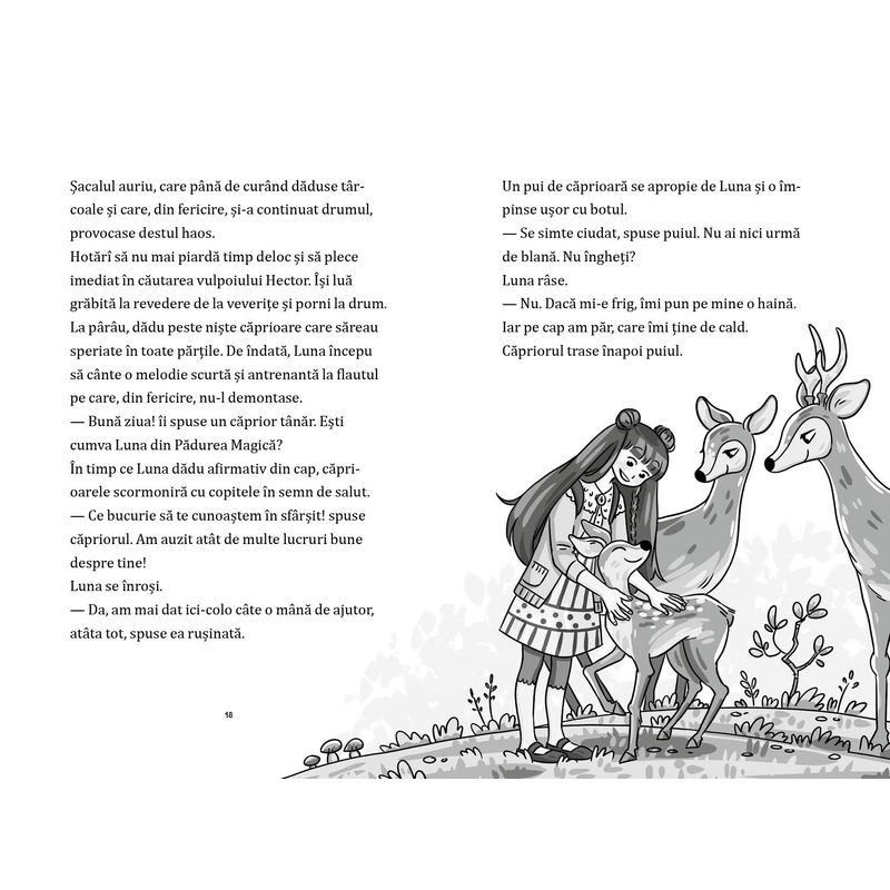 Carti si Birotica - Carti - Carti pentru copii - Basme si povesti - Luna si padurea magica, vol 3. Ratonii in cautarea unei case, Usch Luhn - Infinity.ro