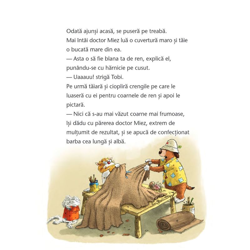 Carti si Birotica - Carti - Carti pentru copii - Basme si povesti - Doctorul Miez - O minune de Craciun, Walko - Infinity.ro