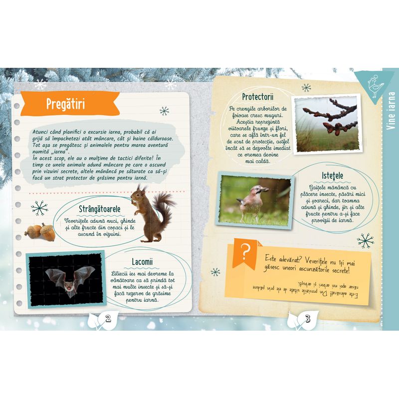 Carti si Birotica - Carti - Carti pentru copii - Basme si povesti - Cartea micului biolog - Iarna, Eva Eich - Infinity.ro