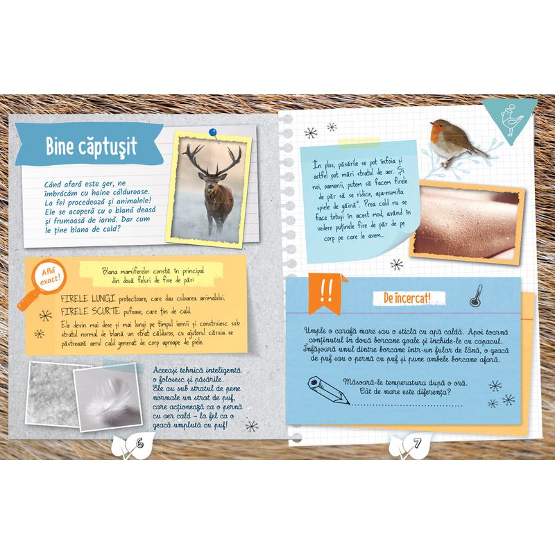 Carti si Birotica - Carti - Carti pentru copii - Basme si povesti - Cartea micului biolog - Iarna, Eva Eich - Infinity.ro