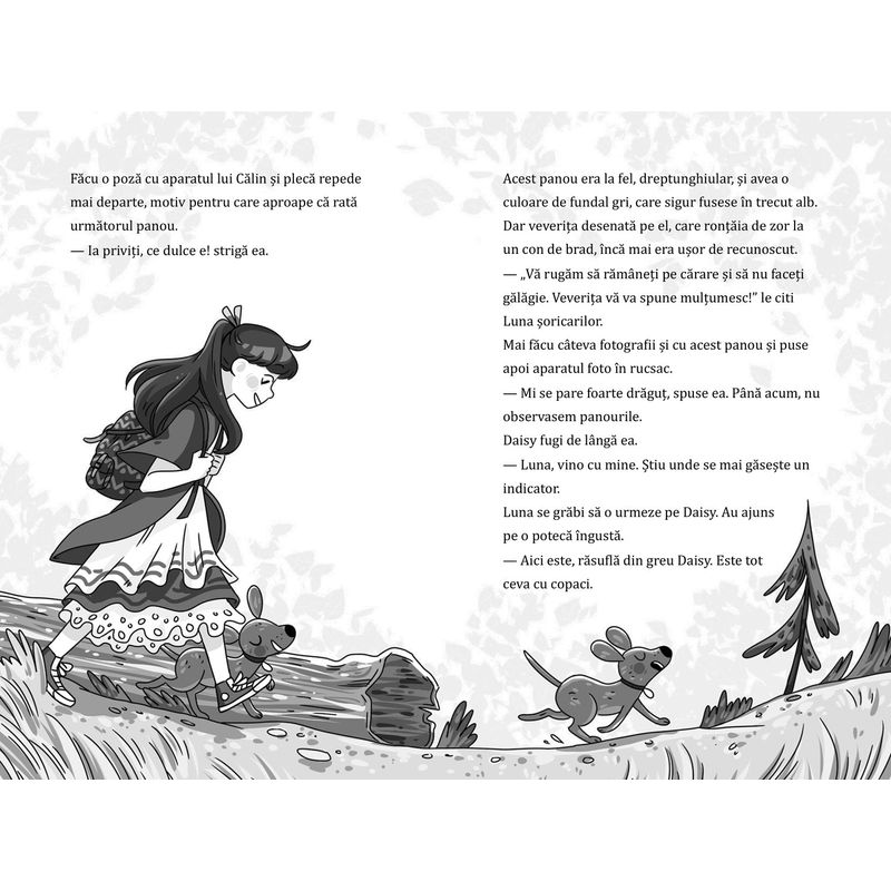 Carti si Birotica - Carti - Carti pentru copii - Basme si povesti - Luna si padurea magica - vol 7. O veverita aflata in pericol, Usch Luhn - Infinity.ro
