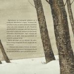 Carti si Birotica - Carti - Carti pentru copii - Basme si povesti - Spiridusul Mura si mierla din miezul iernii, Feridun Oral - Infinity.ro