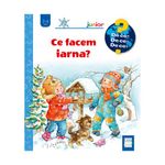 Carti si Birotica - Carti - Carti pentru copii - Basme si povesti - Ce facem iarna?, Andrea Erne, Susanne Szesny - Infinity.ro