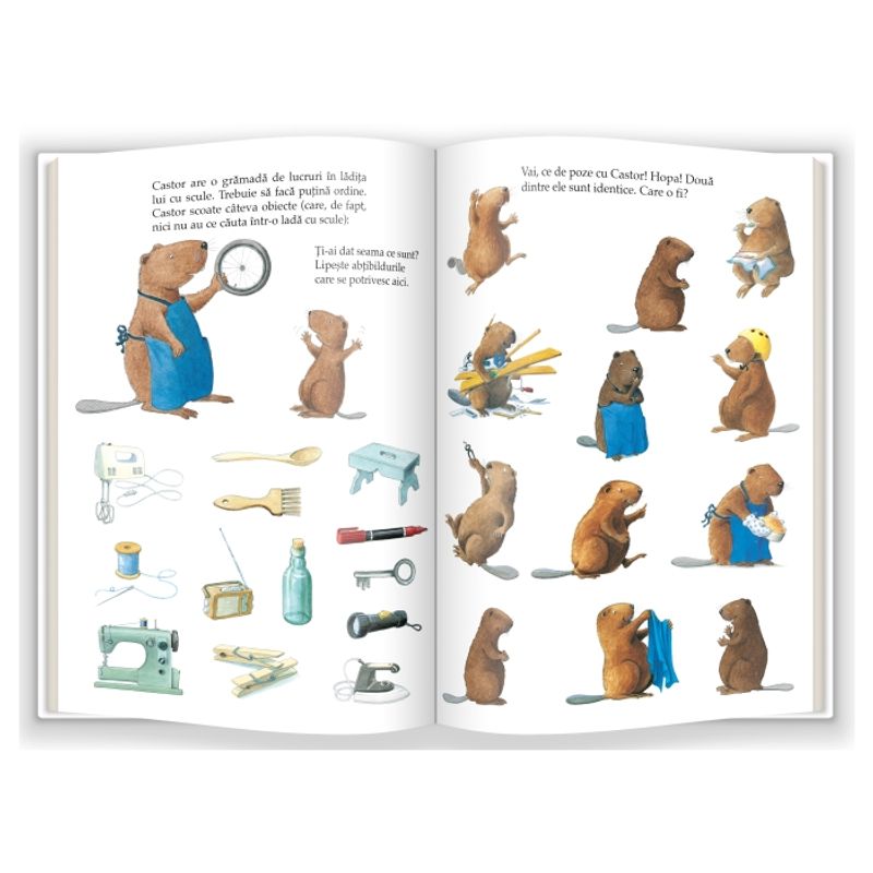 Carti si Birotica - Carti - Carti pentru copii - Basme si povesti - Castor mestereste - Infinity.ro