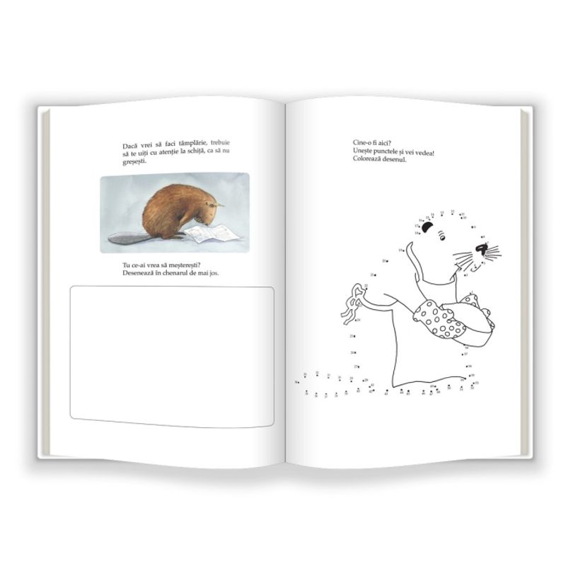 Carti si Birotica - Carti - Carti pentru copii - Basme si povesti - Castor mestereste - Infinity.ro