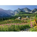 Jucarii, Copii si Bebe - Jucarii si jocuri - Jocuri si puzzle - Puzzle - Puzzle 1000 piese Casienicova Hall In, Tatras 30059 Cherry Pazzi - Infinity.ro