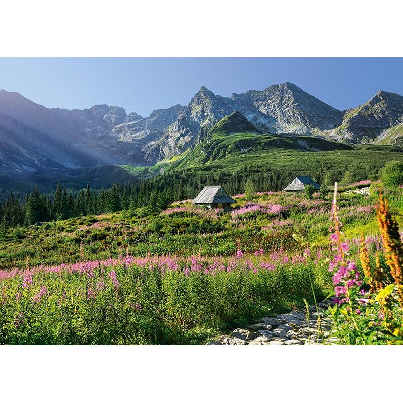 Jucarii, Copii si Bebe - Jucarii si jocuri - Jocuri si puzzle - Puzzle - Puzzle 1000 piese Casienicova Hall In, Tatras 30059 Cherry Pazzi - Infinity.ro