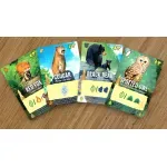 Jucarii, Copii si Bebe - Jucarii si jocuri - Jocuri si puzzle - Jocuri de societate - Joc de societate Canopy Evergreen Standard Edition - Infinity.ro