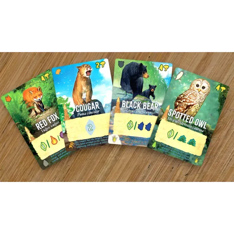 Jucarii, Copii si Bebe - Jucarii si jocuri - Jocuri si puzzle - Jocuri de societate - Joc de societate Canopy Evergreen Standard Edition - Infinity.ro