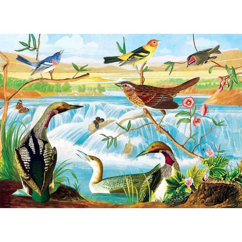Jucarii, Copii si Bebe - Jucarii si jocuri - Jocuri si puzzle - Puzzle - Puzzle 1000 piese Audubon Harmony of Birds & Stream - Infinity.ro