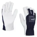 Casa si Gradina - Constructii - Echipamente de lucru - Manusi protectia muncii - Set 12 manusi de protectie combinate, Procera, X-PERFECT, marimea 8 - Infinity.ro