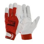 Casa si Gradina - Constructii - Echipamente de lucru - Manusi protectia muncii - Set 12 manusi de protectie combinate, Procera, X-CRAFTER, marimea 10 - Infinity.ro