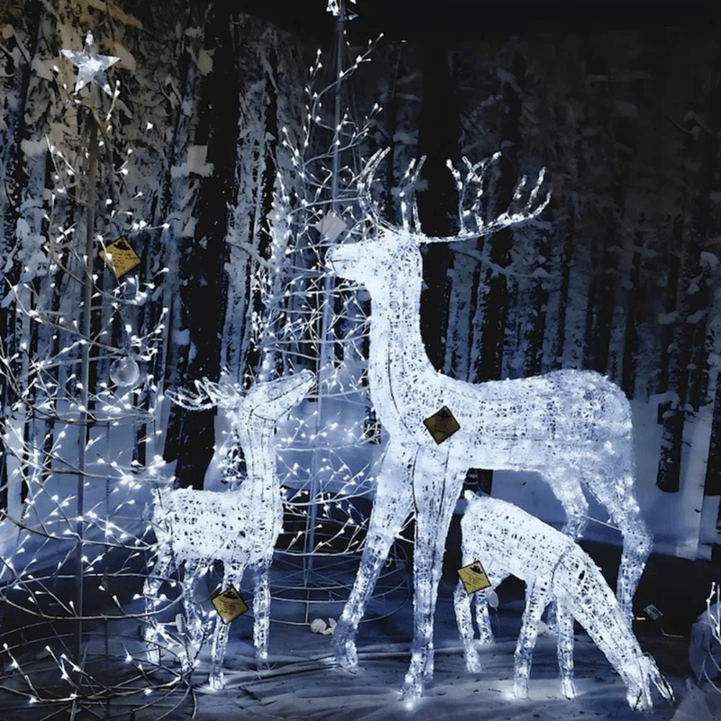 Casa si Gradina - Corpuri si surse de iluminat - Iluminat exterior - Instalatii luminoase exterior - Instalatie de Craciun Liniara , 50 m, interior/exterior, rezistenta la apa, alb rece - Infinity.ro