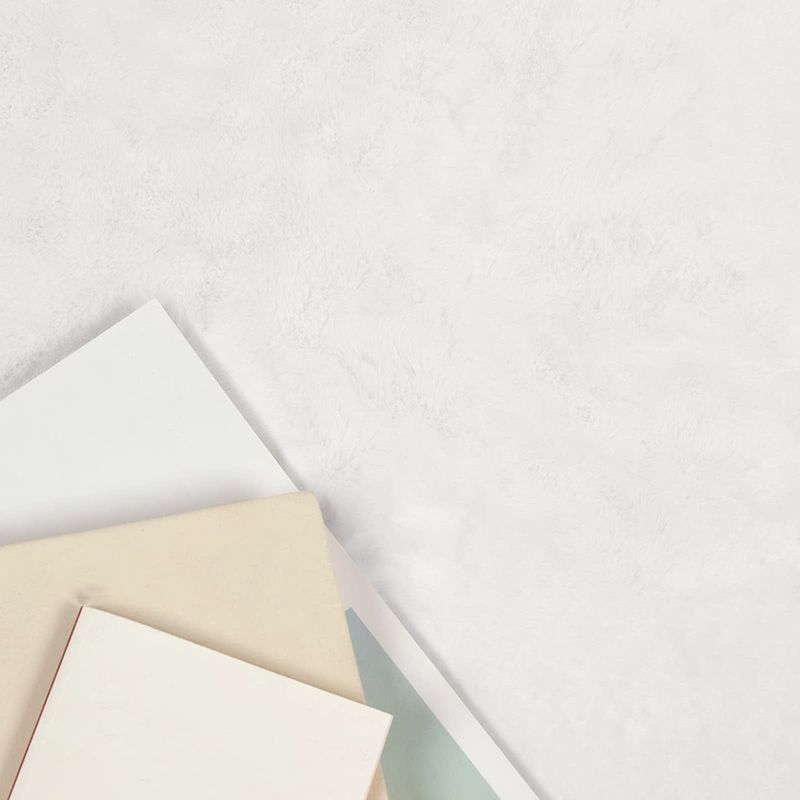 Casa si Gradina - Textile si covoare - Covoare - Covoare casa - Covor din Blana Faux de Iepure Olite Alb 50 x 80 cm Poliester - Infinity.ro