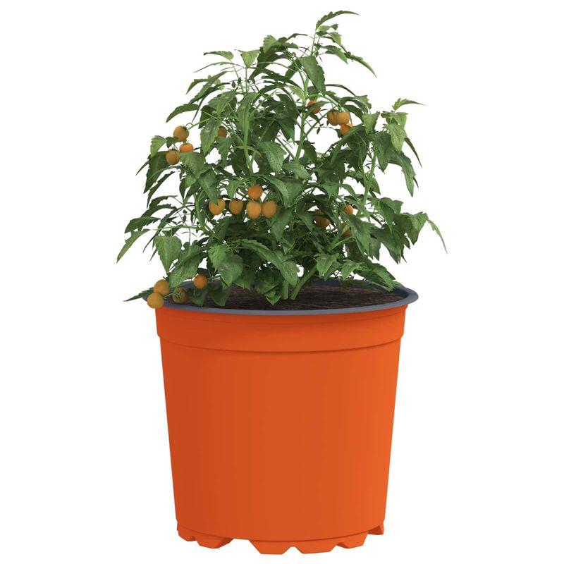 Casa si Gradina - Decoratiuni - Obiecte decorative - Vaze si boluri decorative - Vaza pentru flori 200 pcs Ceramica Ø 15 x 12.5 cm Plastic - Infinity.ro