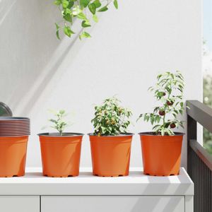 Casa si Gradina - Gradinarit si plante - Plante si ghivece - Infinity.ro