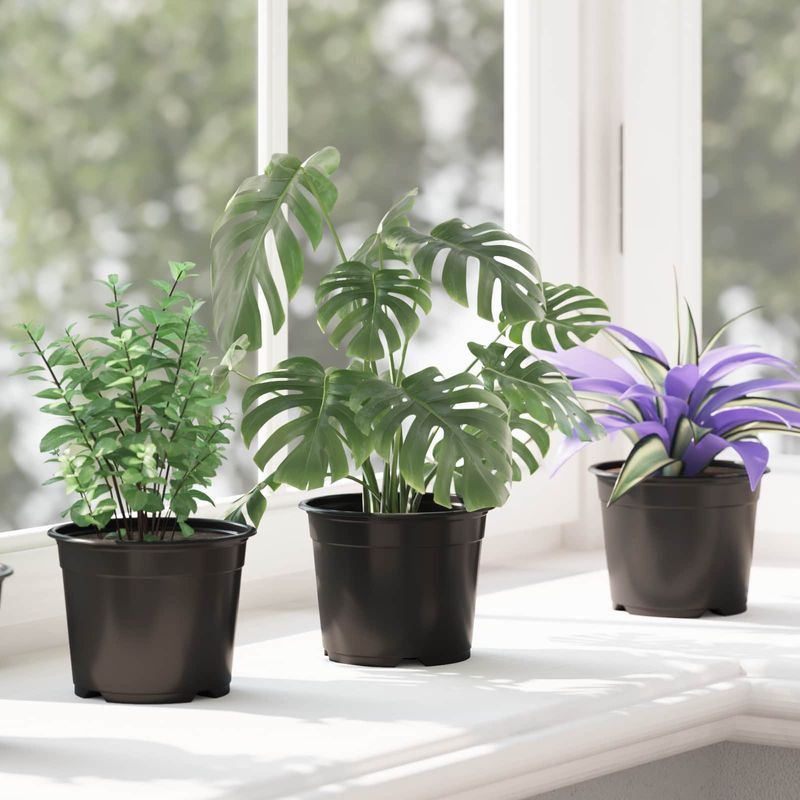 Casa si Gradina - Gradinarit si plante - Plante si ghivece - Ghivece si suporturi - Vaza pentru flori 50 pcs Negru Ø 15 x 12.5 cm Plastic - Infinity.ro