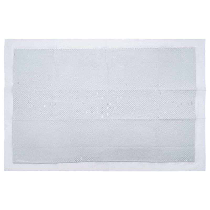 Petshop - Ingrijire si Igiena - Asternuturi si substraturi - Asternuturi igienice - Patura de antrenament pentru animale de companie Simplu 100 pcs - Infinity.ro