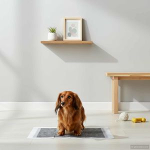 Petshop - Accesorii petshop - Infinity.ro