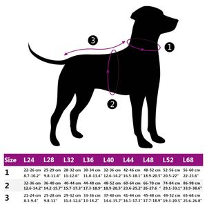 Petshop - Articole imbracaminte - Infinity.ro