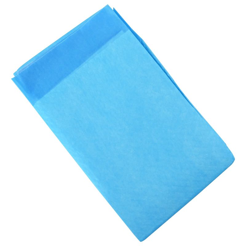 Petshop - Accesorii petshop - Dresaj animale - Patura de antrenament pentru animale de companie 50 pcs - Infinity.ro