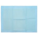 Petshop - Accesorii petshop - Dresaj animale - Patura de antrenament pentru animale de companie Simplu 400 pcs - Infinity.ro