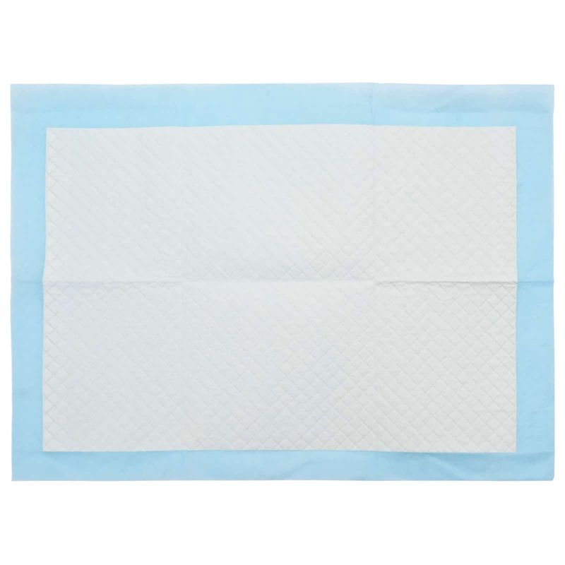 Petshop - Accesorii petshop - Dresaj animale - Patura de antrenament pentru animale de companie Simplu 400 pcs - Infinity.ro