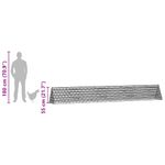 Petshop - Accesorii petshop - Culcusuri si custi - Custi interior si exterior - Cusca pentru pui Argintiu 430 x 55 x 55 cm Otel Galvanizat - Infinity.ro